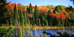 New England